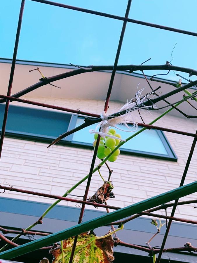 فيلا Miyama House باتْسْيوزسِ المظهر الخارجي الصورة
